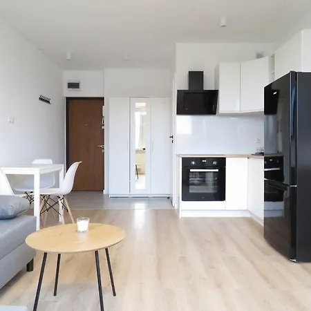 Cosy Close To Old Town 公寓 格但斯克